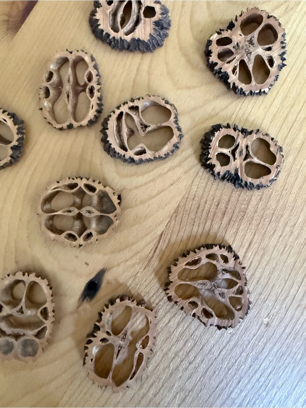 (11) Natural Decorative Walnut Shell Slices - Light Brown with Dark Edges